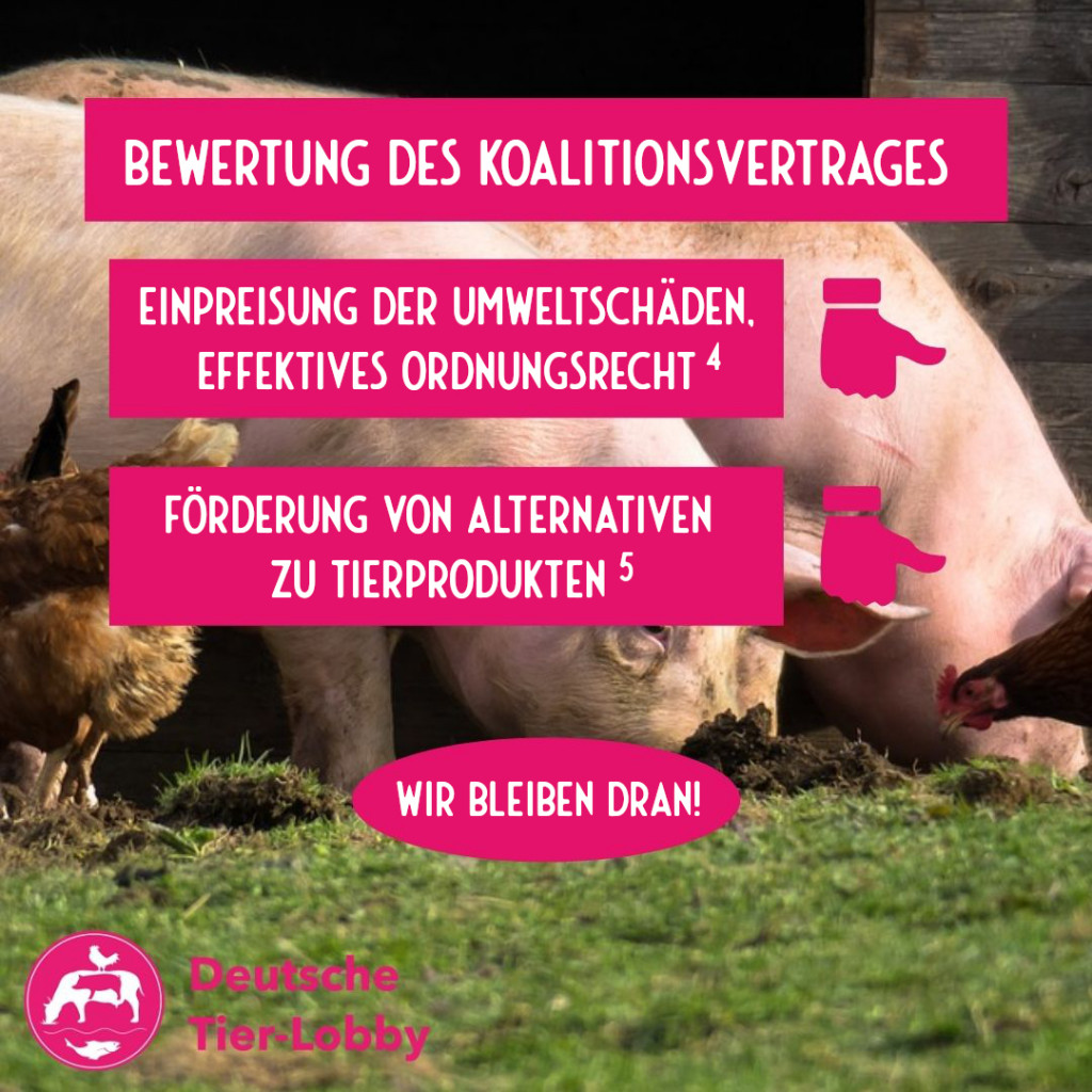 Bewertung des Koalitionsvertrages: Einpreisung von Umweltschäden, effektives Ordnungsrecht: mäßig; Förderung von Alternativen zu Tierprodukten: mäßig (Erklärungen weiter unten im Text)