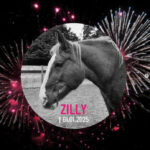 Ein Bild des Pferdes Zilly mit dem Todesdatum 01. Januar 2025