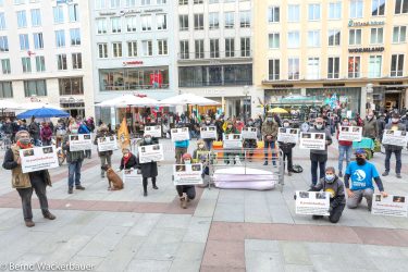 "Demonstration gegen Kastenstände in der Schweinehaltung"am 17.10.2020auf dem Marienplatzin München© Bernd Wackerbauer